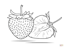 Dari video, kata kata, hingga berbagai foto lucu. 33 Erdbeere Ideen Erdbeeren Wenn Du Mal Buch Erdbeeren Bilder