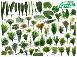 Is your miami branch office for all of your floral needs! Jet Fresh Flower Variety Sheets Posters