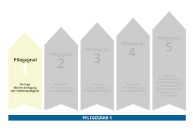 Die pflegegrade lösten 2017 die bis damals geltenden pflegestufen ab. Pflegegrad 1 Alle Leistungen Im Uberblick Insenio Ratgeber