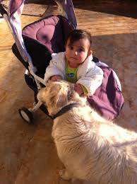 Goldi Asya Dora Asya