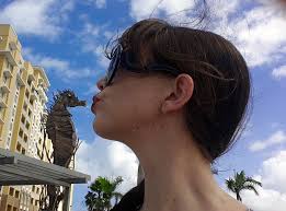 How to make the most of post-Maria Puerto Rico