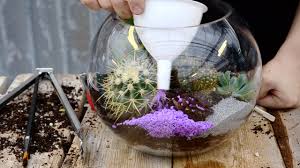 Succulent And Cacti Fish Bowl Terrarium West Coast Gardens Youtube One old aquarium pebbles, gravel, perlite or pumice stones potting soil succulents & cacti of your choice spray bottle filled with water.