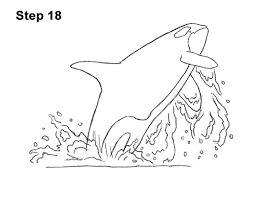 Whale jumping out of water drawing easy. How To Draw A Killer Whale Breaching Video Step By Step Pictures