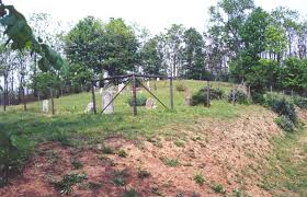 Pleasants County, WV Genealogy Page