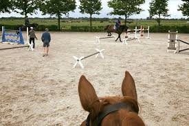 Maybe you would like to learn more about one of these? Trainingstag Auf Dem Hof Sosath Sosath Bloggt