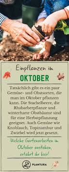 Gartenarbeit Im Oktober Alles Auf Einen Blick Plantura In 2020 Gartenarbeit Pflanzen Garten
