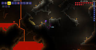 Discussion of piracy is allowed, however encouraging and giving information on how to pirate the game will not be tolerated. Cactus Man S Adventure Through Hardmode Cactus Armor Only Terraria Community Forums