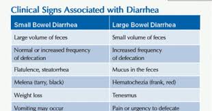 How To Manage Feline Chronic Diarrhea Part I Diagnosis With Images Large Bowel Chronic Diarrhea