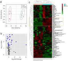 1st semester begins on 1st september and ends on beginning of february. Inhibition Of Expression Of The Circadian Clock Gene Period Causes Metabolic Abnormalities Including Repression Of Glycometabolism In Bombyx Mori Cells Scientific Reports