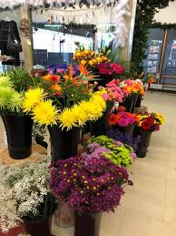 Check spelling or type a new query. The Enchanted Florist I Am Open Today But Will Be Closed On Saturday June 5th Sorry For Any Inconvenience Karen Facebook