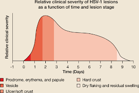 Most of the time, infection with hsv type 1 (hsv1) causes herpes eye disease. Short Course Therapy For Recurrent Genital Herpes And Herpes Labialis Mdedge Family Medicine