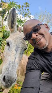 RoostersWorldja (@RoostersWorldja)