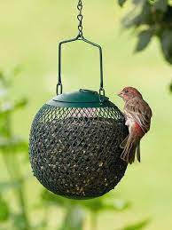The 10 Best Bird Feeders For Your Wintertime Yard Best Bird Feeders Peanut Bird Feeder Bird Feeders