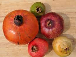 The flavor and juice comes from the pulp, which is a specialized seed coating, called an aril. Beyond Wonderful Pomegranates Come In A Variety Of Colors And Flavors The Salt Npr