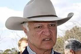 Australian Politician Criticized for Not Standing in Front of Flag