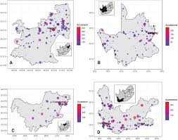 Image result for Searsia anchietae