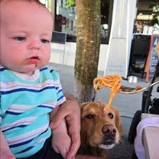 Wholesome week with the fam in County Kits. My first nephew had to get some  fresh pasta and some dry aged ribeye into him. It's always good to see old  friends as