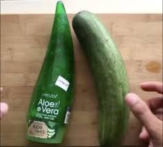 Dahulu lidah buaya hanya dijadikan tanaman hias di rumah dan sesekali dipakai untuk perawatan rambut tradisional. Kulit Berkilat Bak Putih Telur Di Hari Raya Dengan Guna Aloe Vera Timun Je