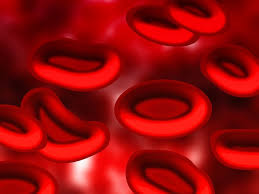 Check spelling or type a new query. Darah Plasma Sel Merah Gambar Gratis Di Pixabay