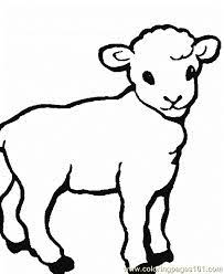 More 100 images of different animals for children's creativity. Sheep Coloring Page 0001 12 Coloring Page For Kids Free Sheep Printable Coloring Pages Online For Kids Coloringpages101 Com Coloring Pages For Kids