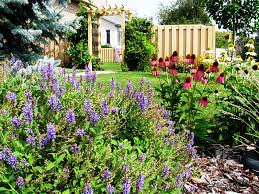 Haie de laurier cerise ® clipsable sur mesure 1m². Ecran De Verdure Du Jardin Dans Ma Vie