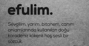 Check spelling or type a new query. Efulim Explore Tumblr Posts And Blogs Tumgir