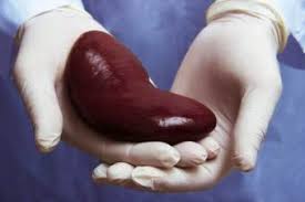 O asistentă medicală de la centrul medical de la atât donatorul, cât şi sora sa au fost externaţi. Transplantul Renal Tot Ce Trebuie SÄ Ètii Despre Cel Mai Frecvent Transplant De Organe