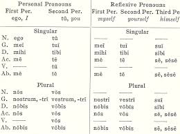 personal pronouns latin for rabbits