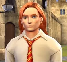Harry Potter: Hogwarts Mystery/Characters