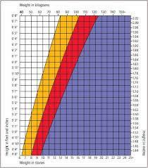 Weight Loss Bmi Chart Kozen Jasonkellyphoto Co