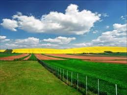 Until 1968, vojvodina enjoyed a limited level of autonomy within serbia. Vojvodina Province
