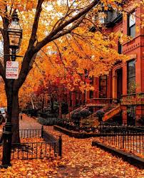 Kuih bulan diperbuat daripada adunan manis yang berinti kacang merah, atau adunan biji teratai, atau kuning telur masin. Interiors ã¨ã˜ã¾ã¨ On Twitter Falling Leaves Autumn Boulevard Boston Massachusetts Usa Ada Sesiapa Suka Musim Luruh Dan Atau Hanya Akan Melancong Ke Luar Negara Ketika Musim Luruh Pocketboston Https T Co Cuxbup7mns