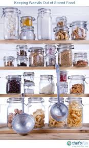 Keeping Weevils Out Of Stored Food Diy Pantry Organization Pantry Organization Small Pantry