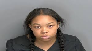 Clinton Twp. mom charged with manslaughter after son found dead in park