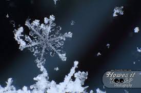 Real Snowflakes Google Search Snowflakes Real Snowflake Pictures Snowflakes Mobilize your data to advance your business. pinterest