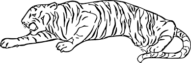 Coloriage felins tigres lions pantheres sur. Coloriage Tigre Dessin A Imprimer Sur Coloriages Info