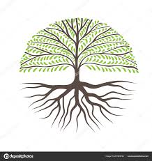 Roots definition at dictionary.com, a free online dictionary with pronunciation, synonyms and translation. Round Tree With Roots Can Use As Logo For Your Company Roots Illustration Tree Roots Tree