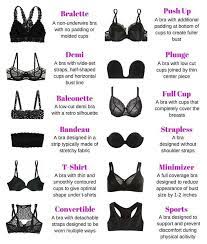 Types Of Bra Designs Sweet Skin Liners Fashion Terms Fashion Vocabulary Fashion Terminology