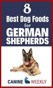 Feeding your german shepherd puppy a nutritious meal is important for healthy growth; 8 Best Dog Foods For German Shepherds 2019 Reviews In 2020 Dog Food Recipes Dog Nutrition Healthy Dog Food Recipes