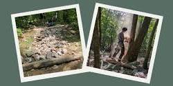 Trail and Forest Road Maintenance as Forest Management