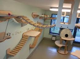 Crazy Cat People Your House Is Not Complete Crazy Cat People Crazy Cats Cat Room