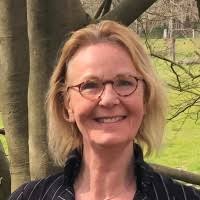 100+ 'Bertie' profiles