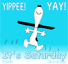 Image result for saturday