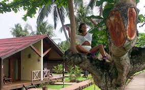 João henrique de almeida sousa nasceu em teresina no dia 4 de fevereiro de 1950, filho de deusdedit sousa e de elita raulino de almeida sousa. Sofia Ribeiro Em Apuros Durante As Ferias E Ajudada Pelo Namorado Vip Pt