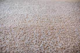 Moreover, a few nylon carpets are capable of resisting the stains more effectively than other nylon equivalents. Nylon Vs Polyester Carpet Which Is The Best Choice