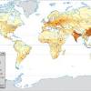 Other human factors include immigration and migrations of large numbers of people. 1