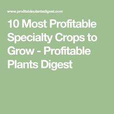 10 Most Profitable Specialty Crops To Grow Profitable Plants Digest Specialty Crops Plants Specialty
