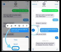 How To Delete Messages In Message App Iphone Ipad Messages Messaging App Text Messages