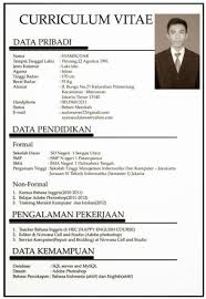 riwayat hidup, creative cv template, cv