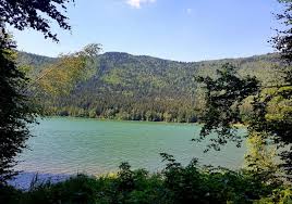 Ana si unul la tinovul mohos. Lacul Sfanta Ana In Pericol Cum S A Transformat Singurul Lac Vulcanic Din Romania Dcnews